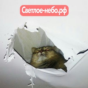 Ремонт натяжного потолка в Зеленодольске